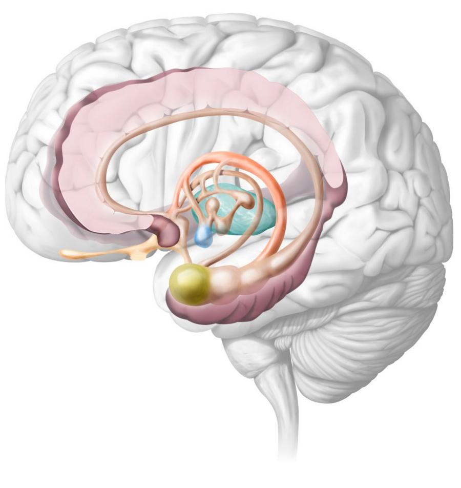 67c1d8d90a8eeb1e2a338483e5f7026d