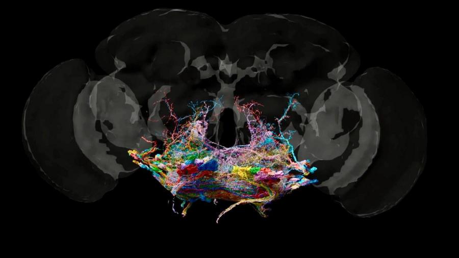 6d3f46650aa9d88b3b4ce742a0d2c73f