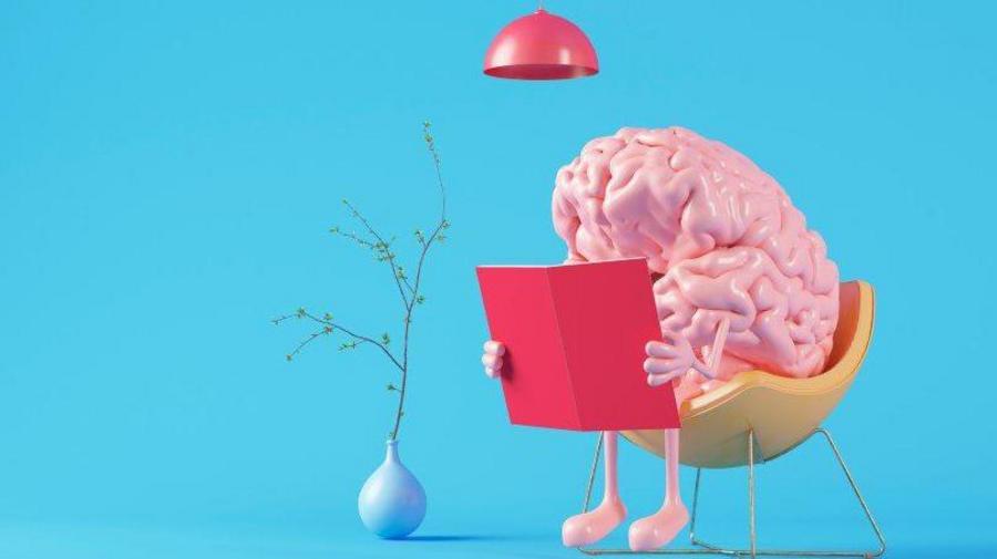 Когнитивный резерв. Открытие, которое поможет сохранить мозг 3 f63c8d6fbf19abff4a762a9838067a2a