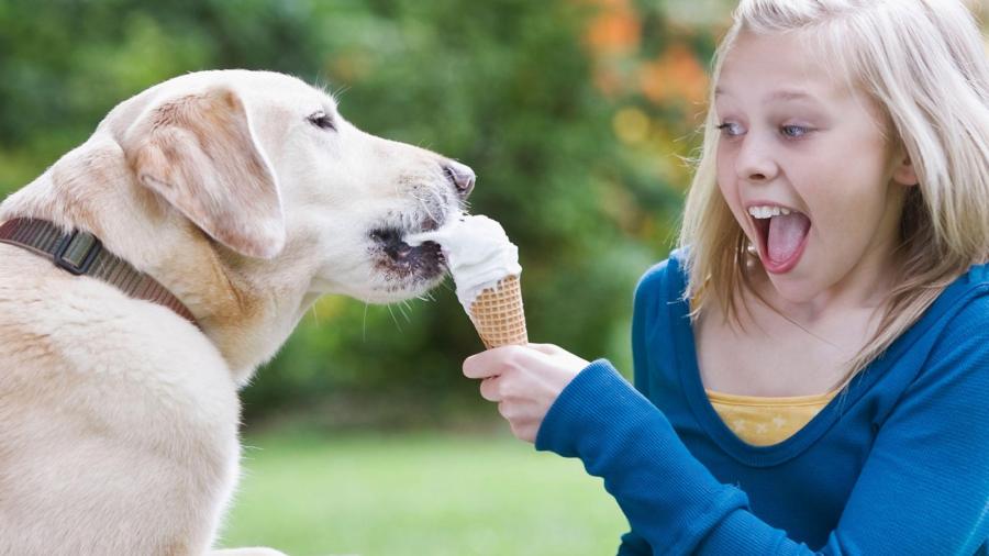 0b3267fe6a2141042970bbacd1311472