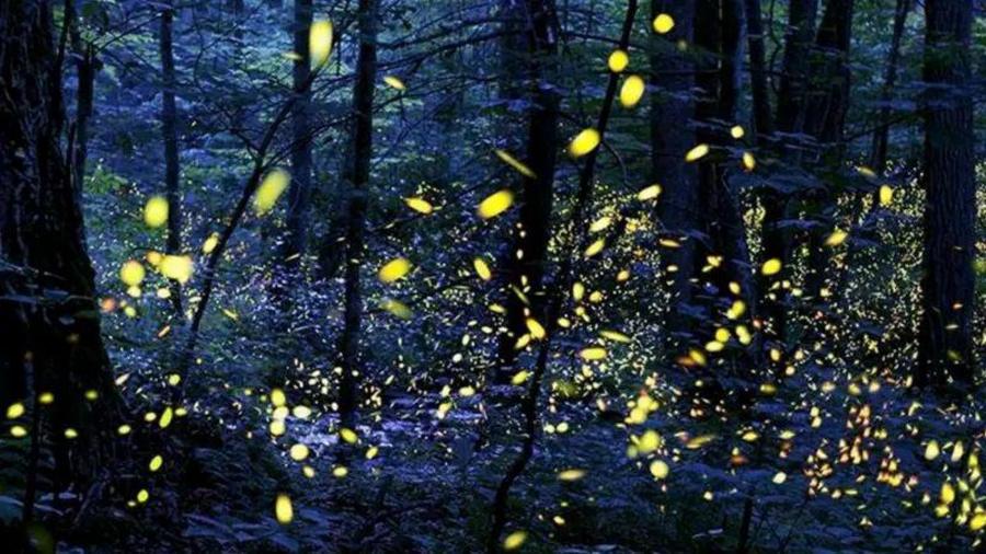 07bbdf6b78536773011f4a09466206ee