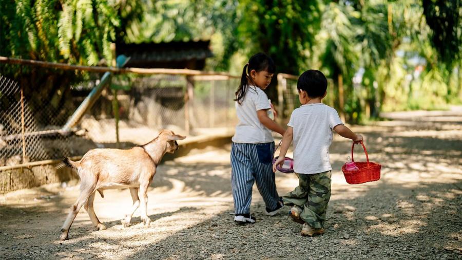 Откуда аллергия и кто рискует больше всего 2 5980721cff3713e9c812378996557975