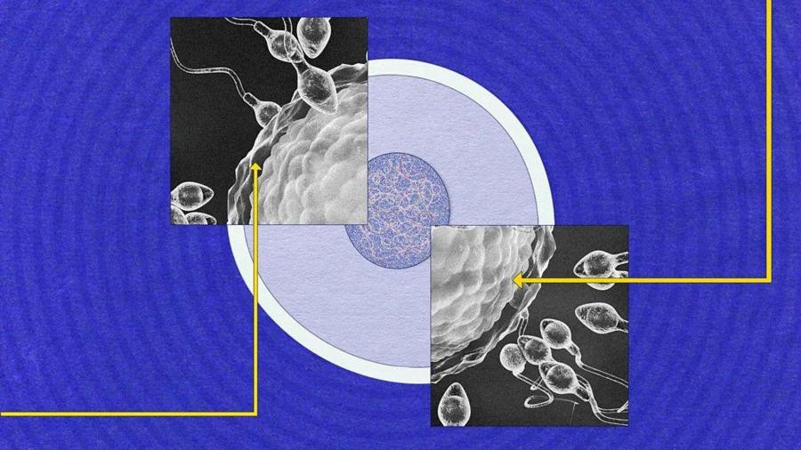 553ac073d5cb47f324cfd52944a79f26