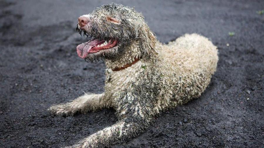 62bb4f2c47122973a41f6ea4c8126fa9