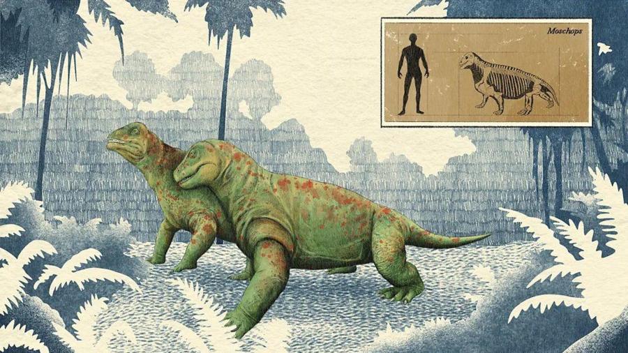 9f4df62b4a997bf7558aa1be7b2b8a2f