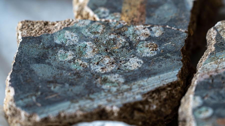 a5b0169ee01163e6657397978d83d038