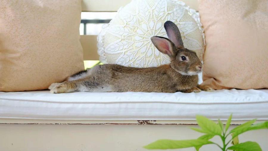 b8c1871e6fc07f3c25245467d2e4d834