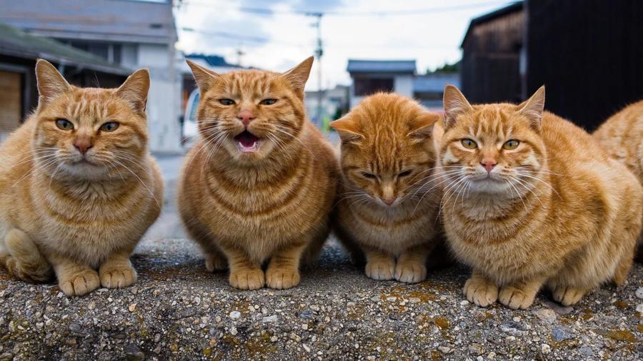 ddbb584efb06bd75f57149177b8db0cc