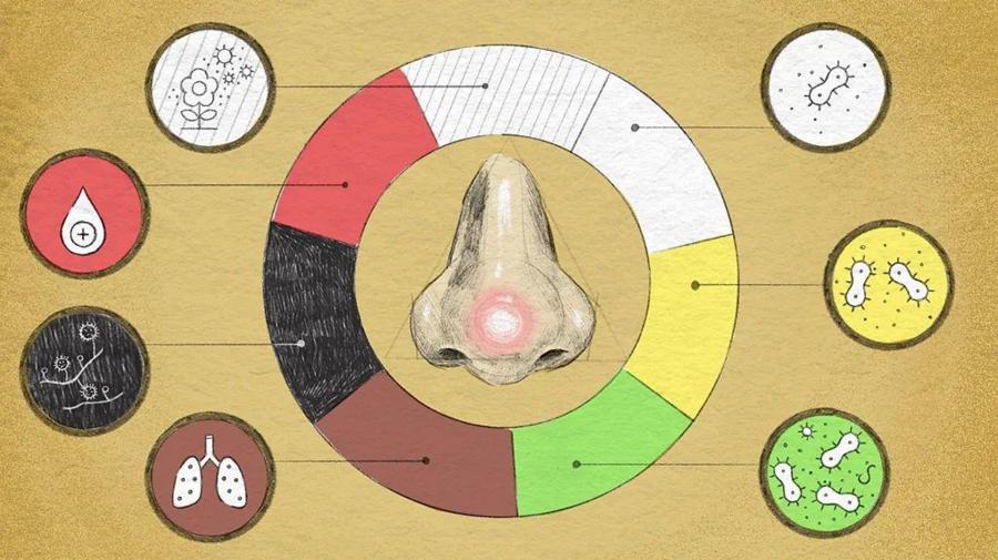 b745278fe8686b6a56404666a3f5282b