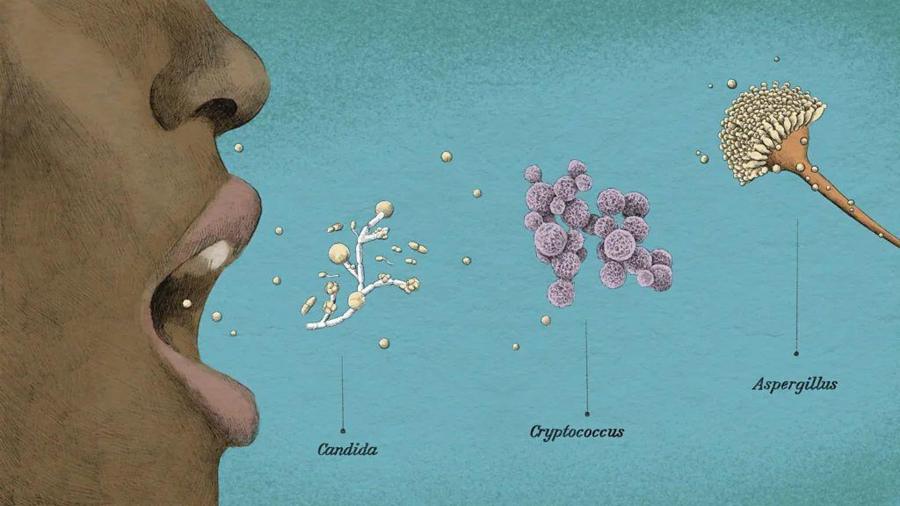 dfad1740a07bba85a9a63debec62cf4e