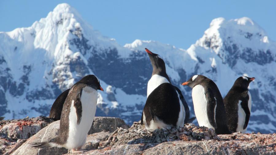 ed25407cd875b20da21a11df45b07217