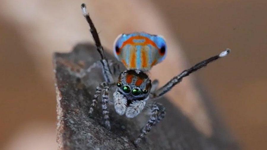 Темная ДНК: что это такое и какие тайны жизни она скрывает 1 512ac03e81bb533a0ad40fca0037c615