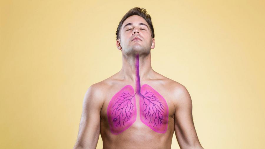 Тест на здоровье легких: узнайте за 5 минут 1 8db35cbd3ef3483e3db8adafefdd9511