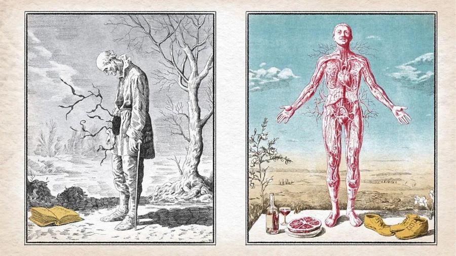 90d8e1cf84cdfd8cfd952068feb8046b