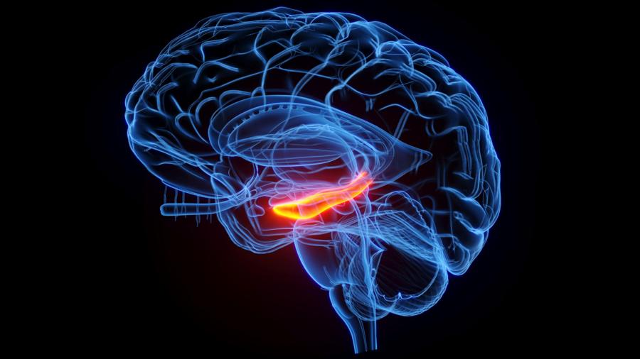 Почему мы не помним себя немного 2 ad3eeb791ea9cef0a408c79aecf1a487
