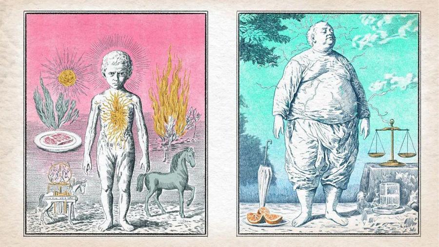 fcc167a0a61cc86bd5c8e6713f70cc43