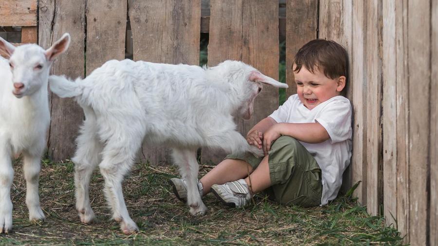 «Я не боюсь спрыгнуть с самолета». Болезнь, через которую мы проходим мы начинаем бояться 3 70ccd1efad8e9a6f4ae5e14517578ad9