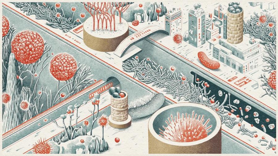 92551780979e0912e5762748ba53bffa