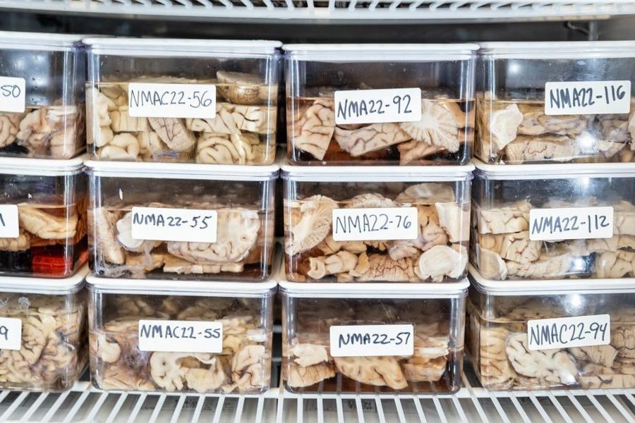 abf14af4b2ddb94996bb4af200434110