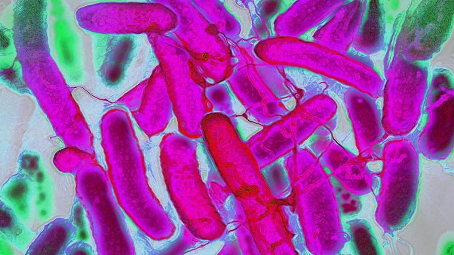 b2f325a3a09d636d06755a17553049ff