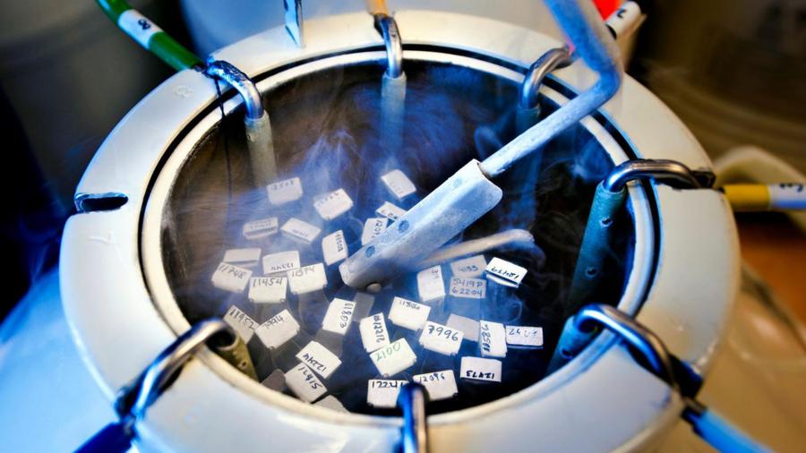 21cddd76ec450a5e8e3087fea05d01ac