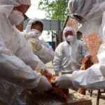 Птичий грипп в Китае: город Сучжоу прекращает торговлю живой домашней птицей