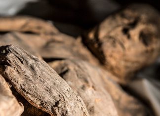 Вирус, найденный в мумии ребенка, может вызвать новую вспышку смертельной оспы