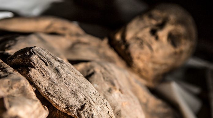 Вирус, найденный в мумии ребенка, может вызвать новую вспышку смертельной оспы