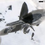 Мега алмазы указывают на наличие металлов в мантии