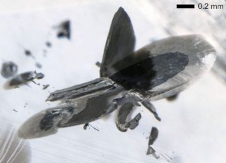 Мега алмазы указывают на наличие металлов в мантии