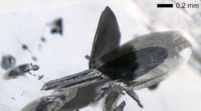 Мега алмазы указывают на наличие металлов в мантии