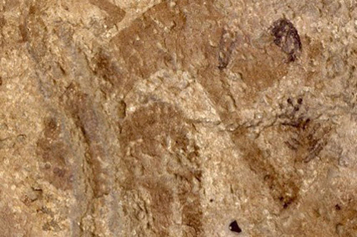 Древние гончарные изделия являются старейшим свидетельством того, что люди питались растениями