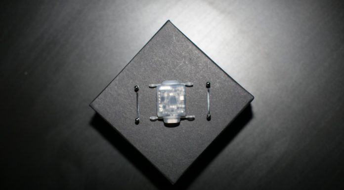 Человечество сделало первый шаг к созданию киборгов