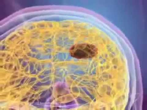 Наногипертермия смягчает раковую опухоль, повышая эффективность лечения