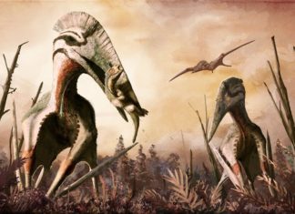 Крылатые хищники древней Трансильвании могли сожрать любого динозавра
