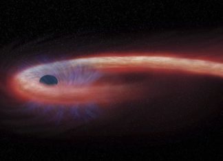 Чёрная дыра и отдалённая звезда станцевали медленный танец смерти