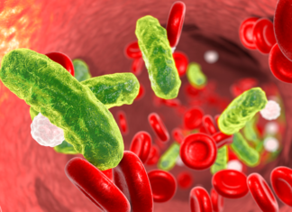 Магниты смогут очищать кровь от смертоносных микробов