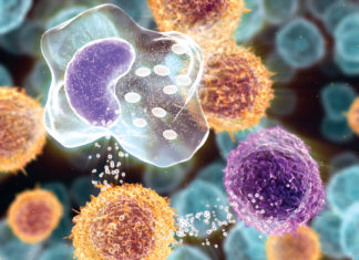 Последние исследования рака показали — что в зону риска попали все