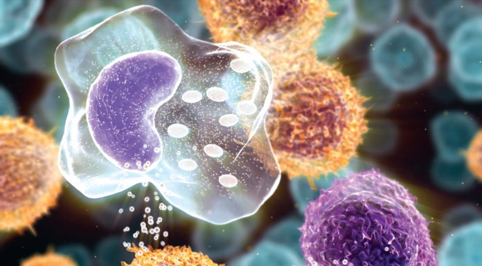 Последние исследования рака показали — что в зону риска попали все