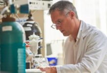 Искусственную матку опробовали на ягнятах