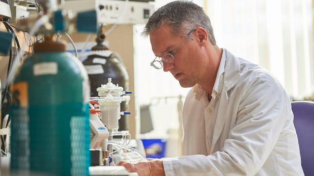 Искусственную матку опробовали на ягнятах