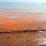 Планктон окрасил Мраморное море в оранжевый цвет