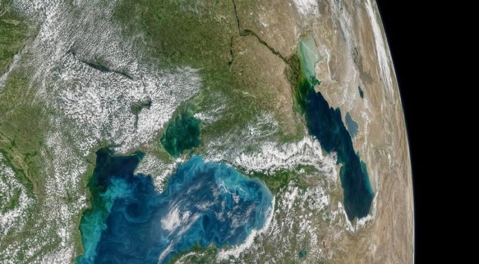 Черное море стало бирюзовым