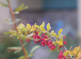 Как выбрать рекламное агентство в Хотьково