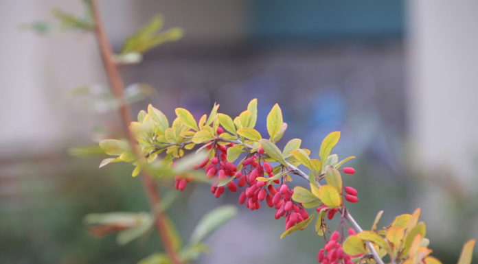 Как выбрать рекламное агентство в Хотьково