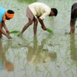 Выявлена еще одна угроза глобального потепления