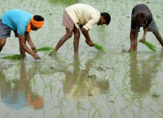 Выявлена еще одна угроза глобального потепления