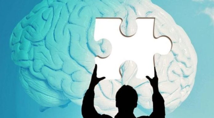 Действительно ли мы используем лишь 10% своего мозга