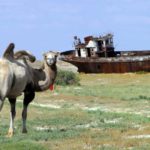 Остров Возрождения: как Советский союз испытывал биологическое оружие