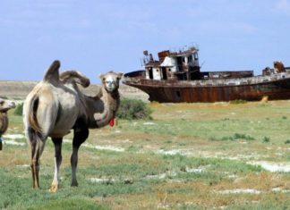 Остров Возрождения: как Советский союз испытывал биологическое оружие